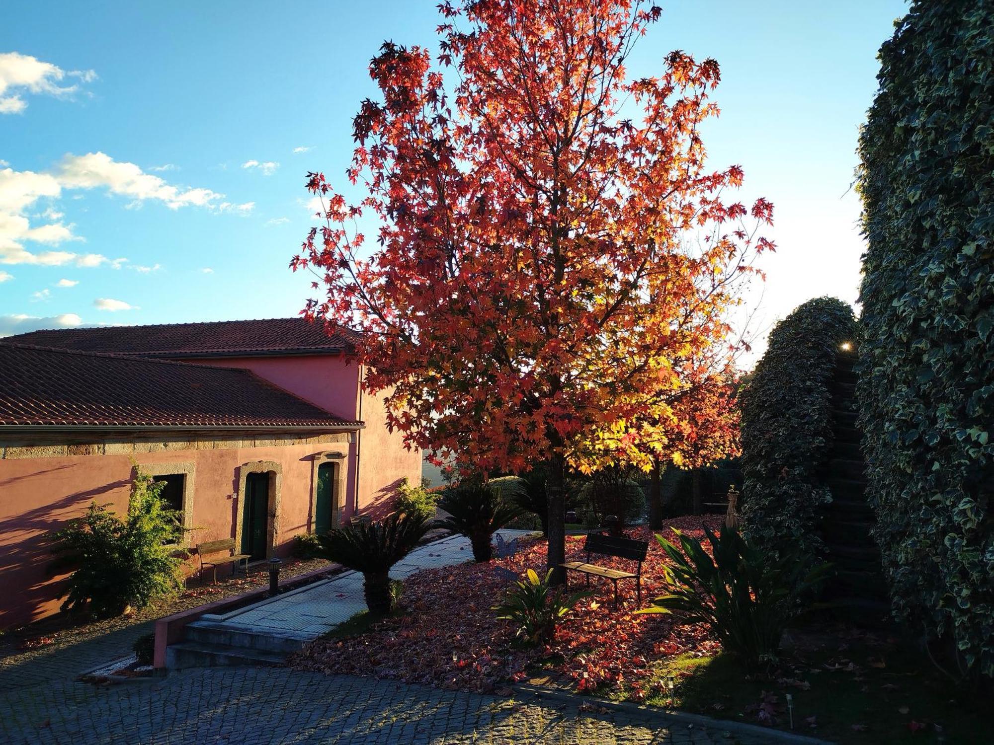 Vila Quinta De Baixo Vila Marim Exteriér fotografie